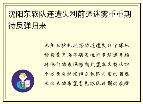 沈阳东软队连遭失利前途迷雾重重期待反弹归来