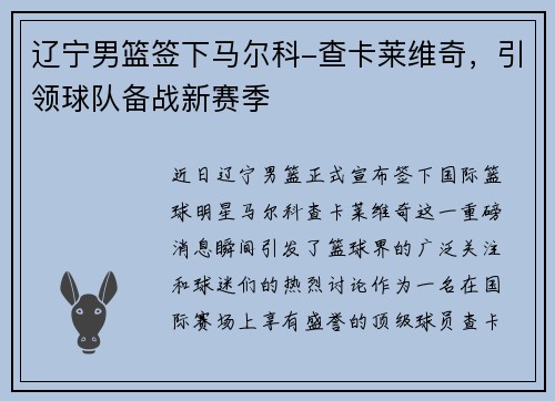 辽宁男篮签下马尔科-查卡莱维奇，引领球队备战新赛季