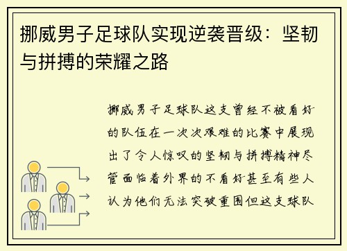 挪威男子足球队实现逆袭晋级：坚韧与拼搏的荣耀之路