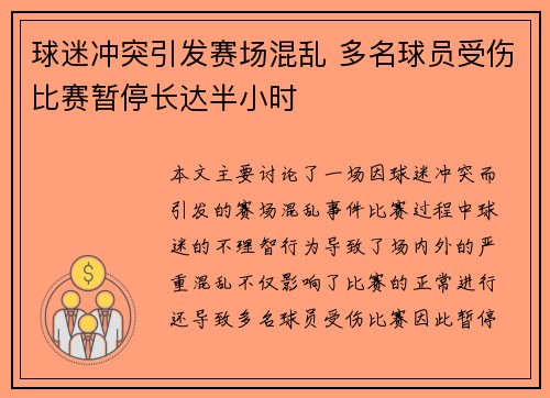 球迷冲突引发赛场混乱 多名球员受伤比赛暂停长达半小时